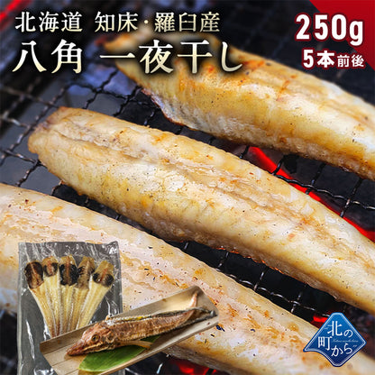 八角 北海道 知床・羅臼産 八角一夜干し 250g 5本前後入り ハッカク はっかく 魚 干物  冷凍干物 お取り寄せ 国産 珍味 BBQ