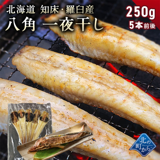 八角 北海道 知床・羅臼産 八角一夜干し 250g 5本前後入り ハッカク はっかく 魚 干物  冷凍干物 お取り寄せ 国産 珍味 BBQ