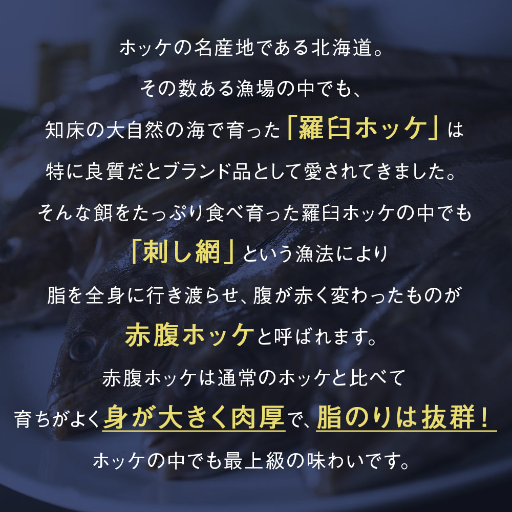 赤腹ホッケ 北海道 知床・羅臼産 一夜干し 550g～600g ほっけ あかばらほっけ ホッケ 羅臼ホッケ 干物 乾物 開き 手造り 魚 お取り寄せ グルメ
