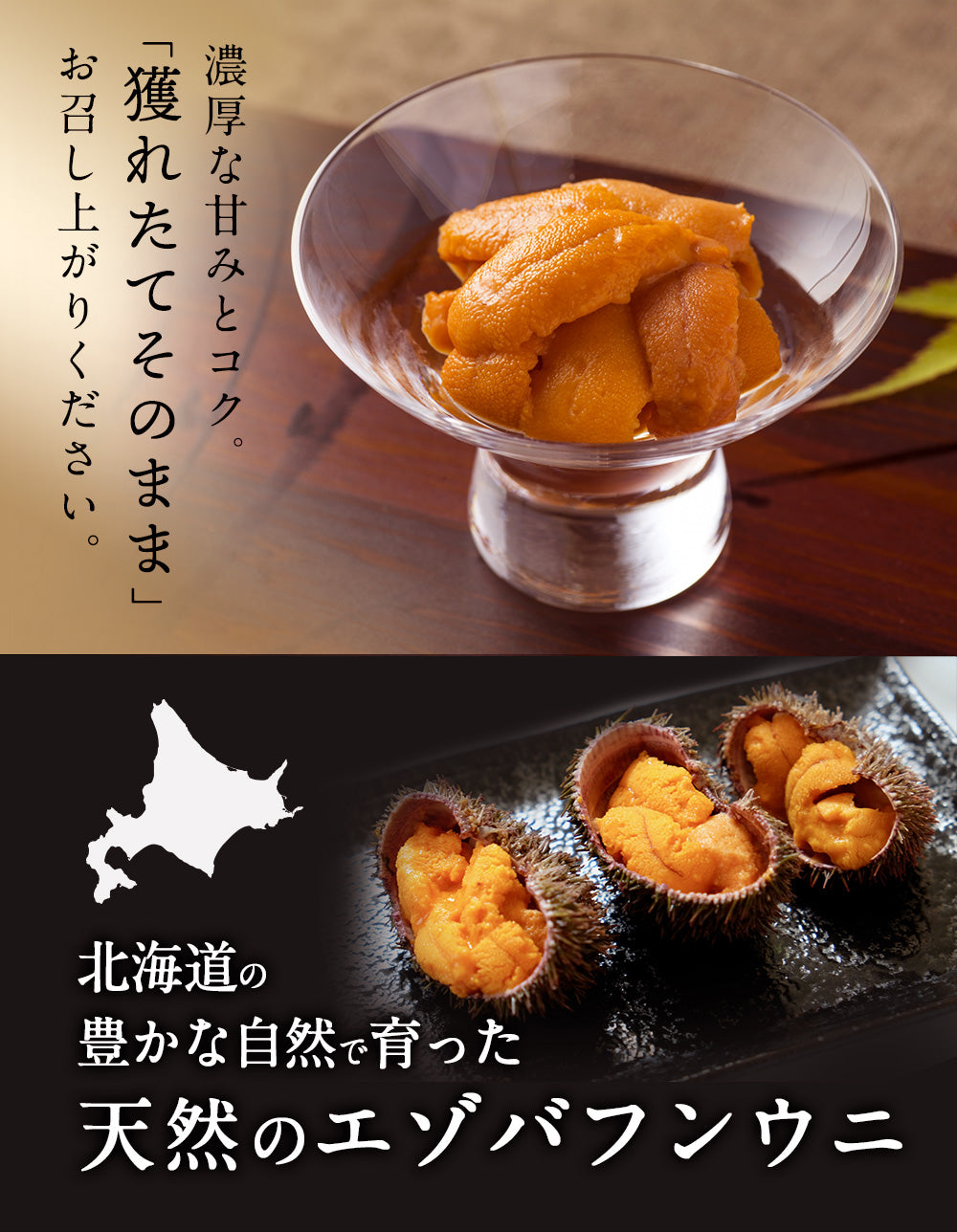 ウニ 希少な知床・羅臼産 塩水ウニ100g 羅臼のウニはキタムラサキよりも勝るとされる「エゾバフンウニ」だけ！ うに ウニ 雲丹【同梱・着日指定不可】【水揚げ次第順次発送】