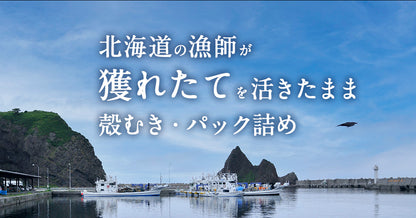 ウニ 希少な知床・羅臼産 塩水ウニ100g 羅臼のウニはキタムラサキよりも勝るとされる「エゾバフンウニ」だけ！ うに ウニ 雲丹【同梱・着日指定不可】【水揚げ次第順次発送】