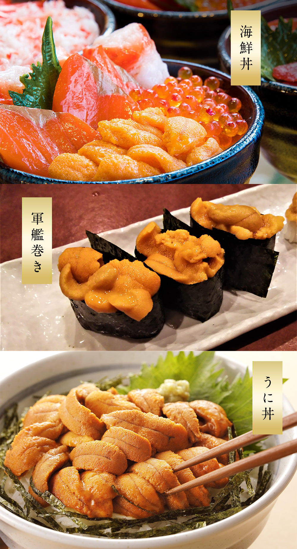 ウニ 希少な知床・羅臼産 塩水ウニ100g 羅臼のウニはキタムラサキよりも勝るとされる「エゾバフンウニ」だけ！ うに ウニ 雲丹【同梱・着日指定不可】【水揚げ次第順次発送】