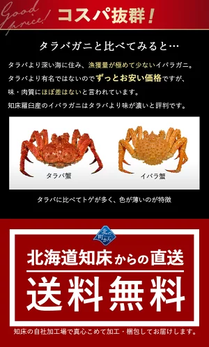 タラバガニより味が濃いと評判の 北海道 知床・羅臼産 イバラガニ！ 足ボイル冷凍 2kg(3肩前後)茨蟹 茨ガニ いばらがに 蟹 カニ かに タラバガニ タラバ蟹 たらばがに