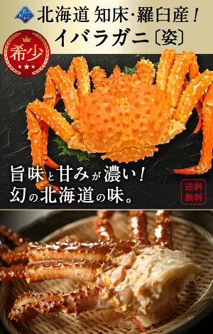 知床・羅臼産 イバラガニ 【浜茹で急速冷凍 姿】 2kg前後 茨蟹 茨ガニ 茨カニ いばらがに イバラカニ いばらかに 蟹 カニ タラバ蟹 たらばがに