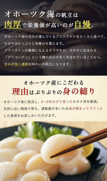 北海道 オホーツク産 ホタテ 800g ホタテ玉冷凍  新鮮なホタテならではの強い甘み、ぷりぷりとした食感をご堪能ください！ 帆立 ほたて