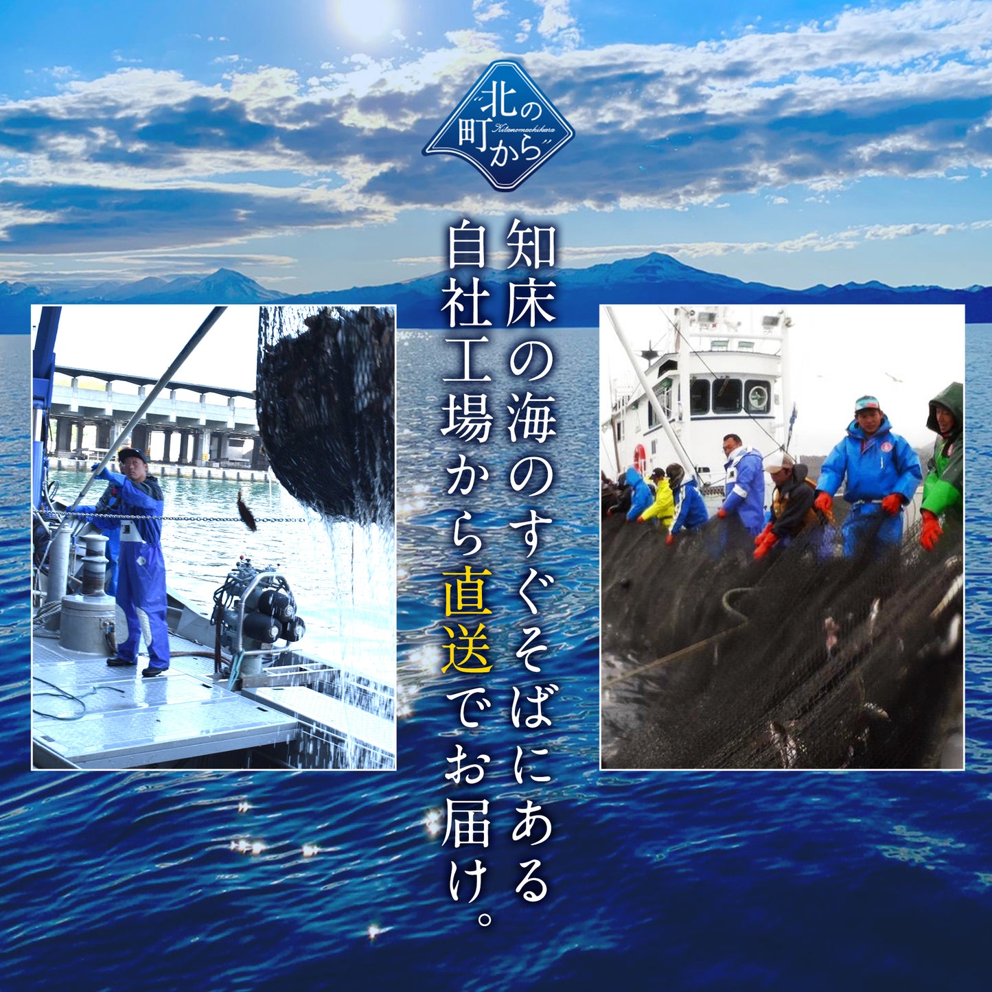 鮭いくら 醤油漬け 1kg(200g×5) 北海道 知床・羅臼産