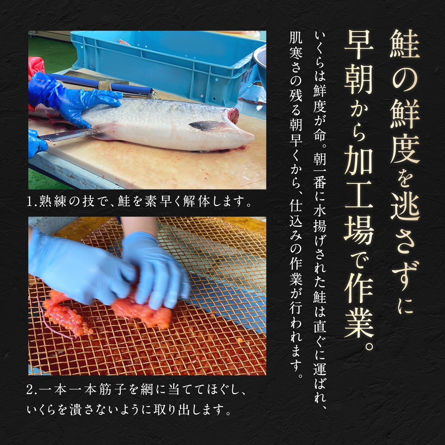 鮭いくら 醤油漬け 1kg(200g×5) 北海道 知床・羅臼産