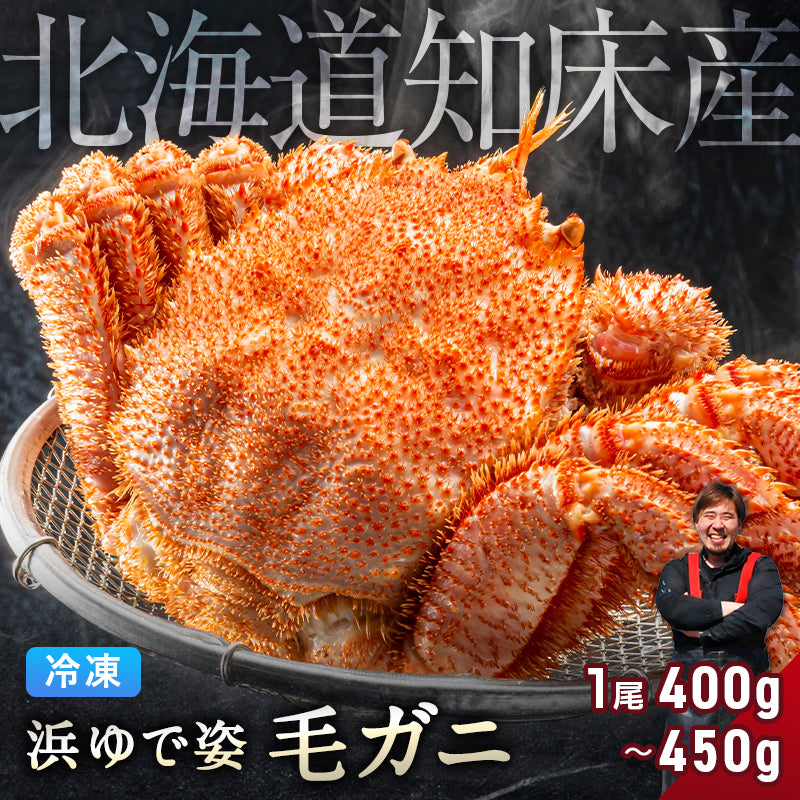 毛ガニ 希少な知床産 400g～450g 【浜茹で急速冷凍 姿】 採れたての毛蟹を新鮮なうちに浜茹でに！ 毛蟹 毛カニ 毛かに 毛がに カニ 蟹 北海道