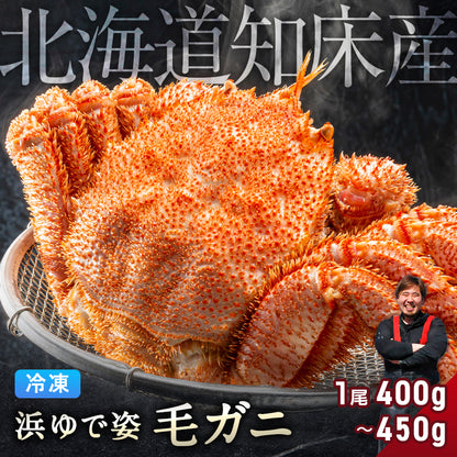 毛ガニ 希少な知床産 400g～450g 【浜茹で急速冷凍 姿】 採れたての毛蟹を新鮮なうちに浜茹でに！ 毛蟹 毛カニ 毛かに 毛がに カニ 蟹 北海道