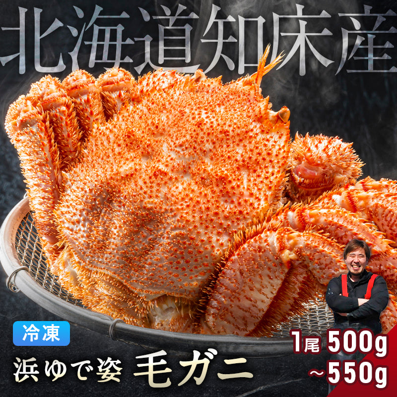 毛ガニ 希少な知床産 500g～550g 【浜茹で急速冷凍 姿】 採れたての毛蟹を新鮮なうちに浜茹でに！ 毛蟹 毛カニ 毛かに 毛がに カニ 蟹 北海道