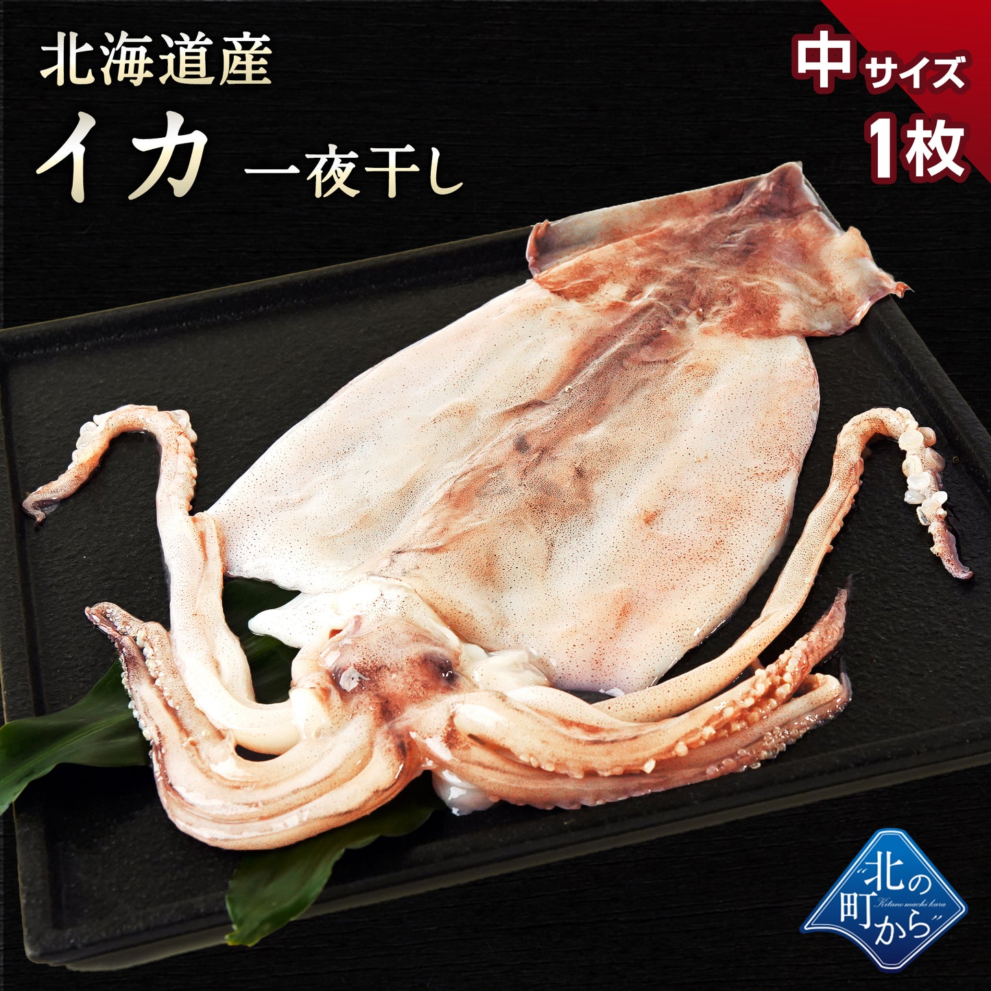 スルメイカ 北海道 知床産 一夜干し中1枚
