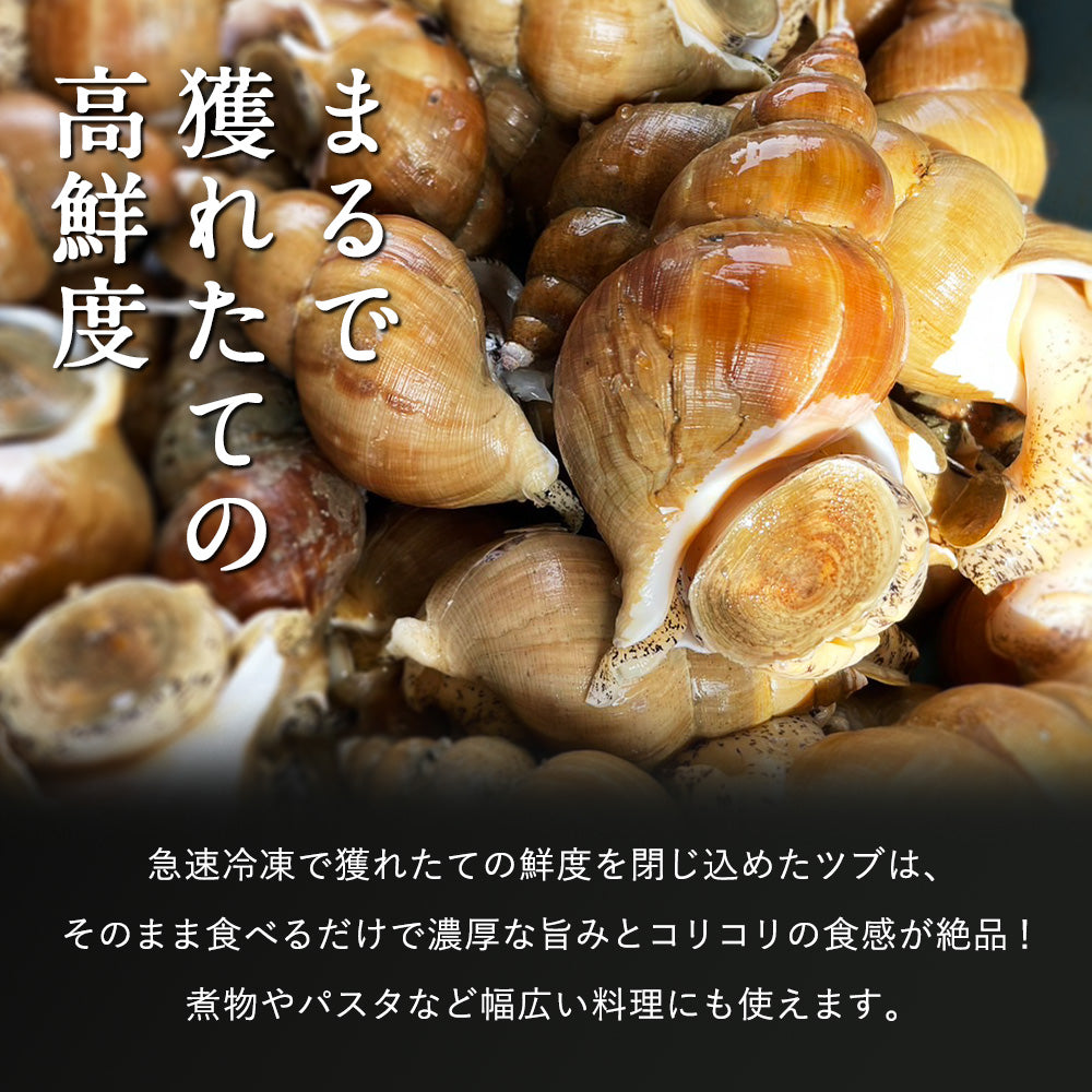 ＼2個まとめ買いで送料無料4,980円／ 北海道 知床産 越中バイツブ 開き 刺身用 250g~500g ツブ つぶ ツブ貝 つぶ貝 粒貝 バイツブ 生食用 生つぶ 刺身 魚介 海鮮 お取り寄せ 国産 産地直送