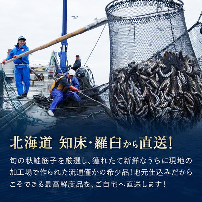 鮭筋子 500g 塩漬け 北海道 知床・羅臼産 熟成されたコクや旨味！ すじこ スジコ 筋子 塩筋子 鮭卵 魚卵 おにぎり ご飯のお供 天然 国産 お取り寄せ ギフト 送料無料