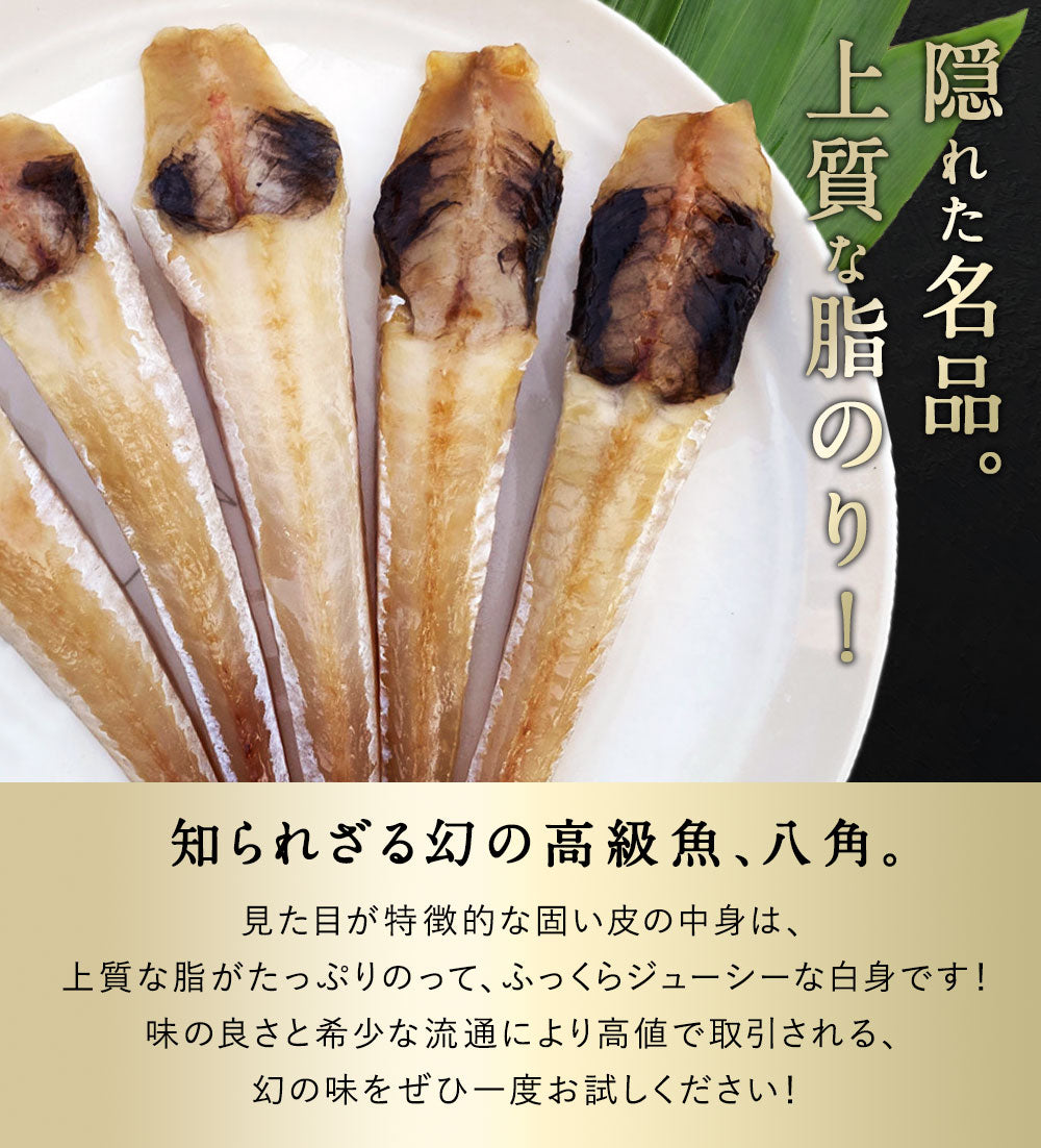 八角 北海道 知床・羅臼産 八角一夜干し 250g 5本前後入り ハッカク はっかく 魚 干物  冷凍干物 お取り寄せ 国産 珍味 BBQ