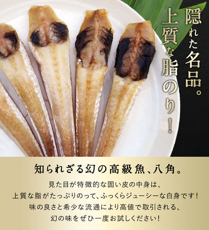 八角 北海道 知床・羅臼産 八角一夜干し 250g 5本前後入り ハッカク はっかく 魚 干物  冷凍干物 お取り寄せ 国産 珍味 BBQ