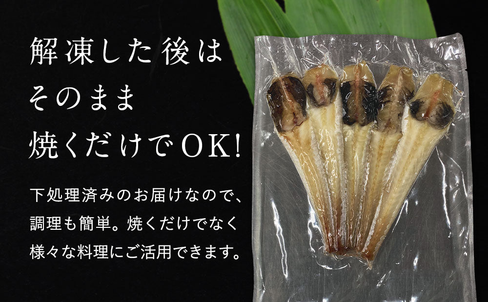 八角 北海道 知床・羅臼産 八角一夜干し 250g 5本前後入り ハッカク はっかく 魚 干物  冷凍干物 お取り寄せ 国産 珍味 BBQ