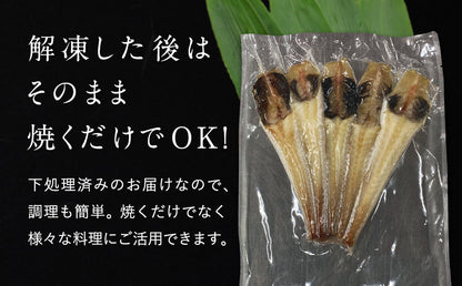 八角 北海道 知床・羅臼産 八角一夜干し 250g 5本前後入り ハッカク はっかく 魚 干物  冷凍干物 お取り寄せ 国産 珍味 BBQ