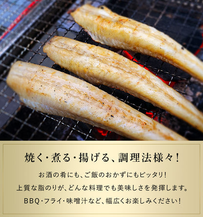 八角 北海道 知床・羅臼産 八角一夜干し 250g 5本前後入り ハッカク はっかく 魚 干物  冷凍干物 お取り寄せ 国産 珍味 BBQ