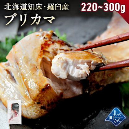 北海道 知床・羅臼産 ブリカマ 1枚あたり220g~300g ぶりかま ブリ 鰤