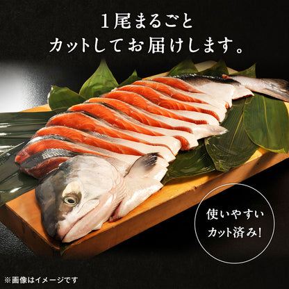 北海道 知床・羅臼産 新巻鮭 1.5kg前後 カット済み 鮭本来の旨味を塩漬けで熟成させた北の逸品！ 新巻き鮭 荒巻鮭 サケ さけ サーモン お歳暮 ギフト お正月