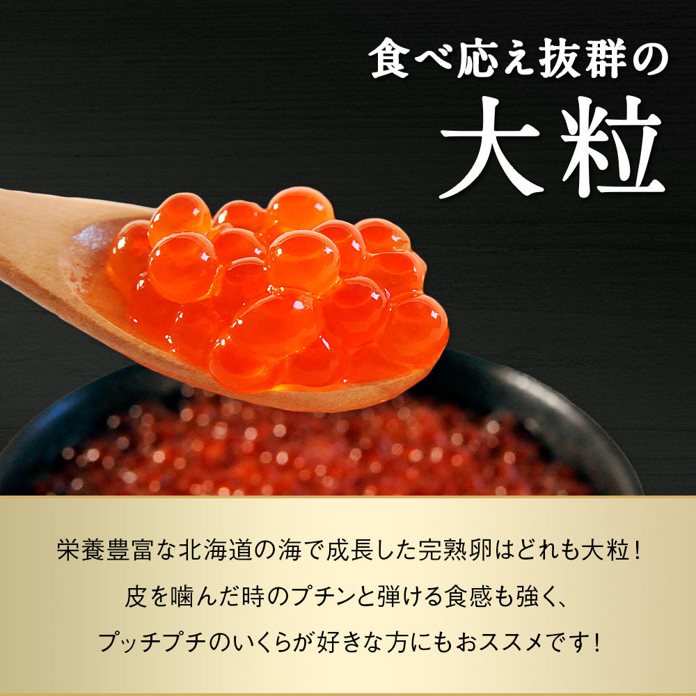 訳あり 鮭いくら 醤油漬け 1kg(500g×2個セット) 北海道産 いくら 鮭いくら 鮭卵 訳アリ わけあり 硬皮 完熟卵