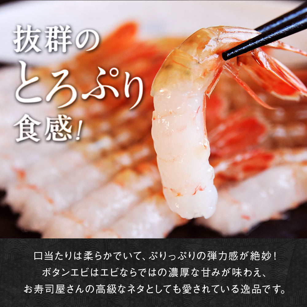 ボタンエビ 小500g 目安22尾前後 北海道 知床・羅臼産