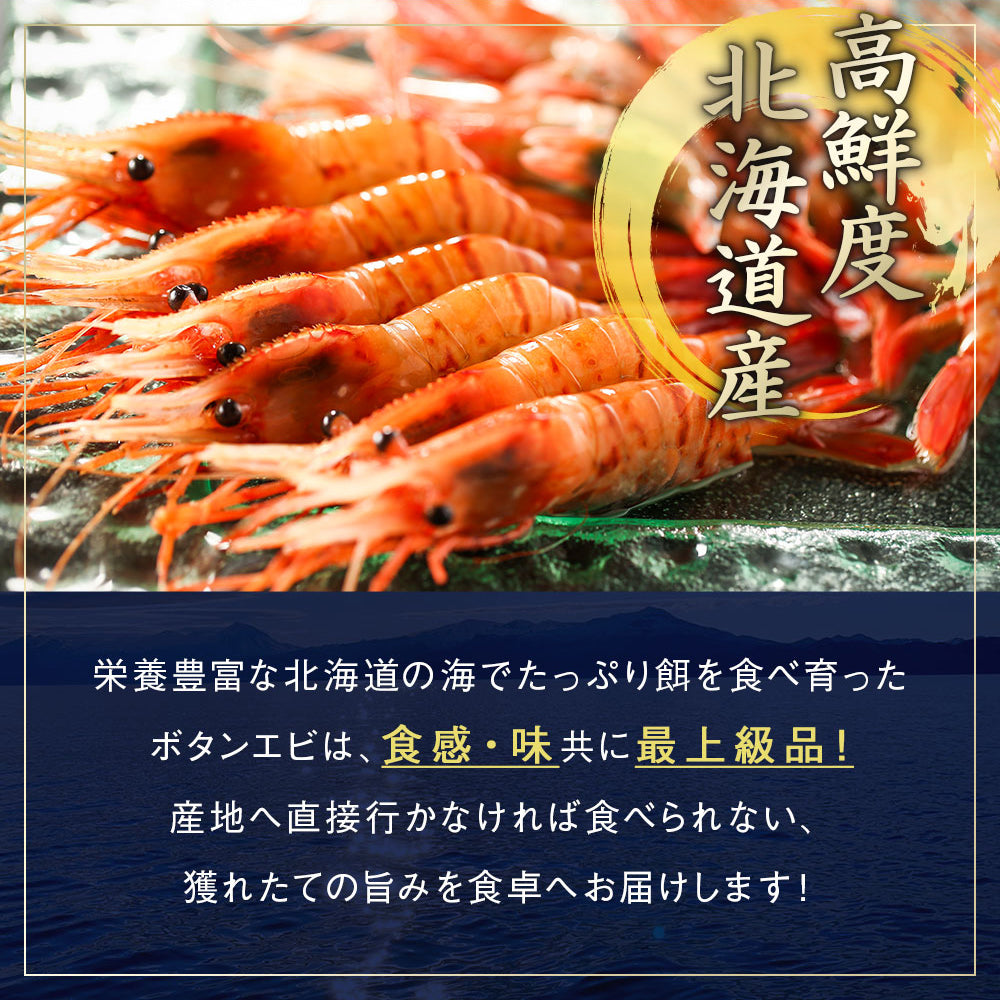 北海道産 ボタンエビ 中サイズ 20尾 刺身用 剥き身 とろける甘み、プリっとした歯ごたえ、高級料亭の味をご自宅で。ボタンエビ 牡丹海老 ぼたんえび ボタン海老