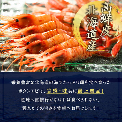 北海道産 ボタンエビ 中サイズ 20尾 刺身用 剥き身 とろける甘み、プリっとした歯ごたえ、高級料亭の味をご自宅で。ボタンエビ 牡丹海老 ぼたんえび ボタン海老