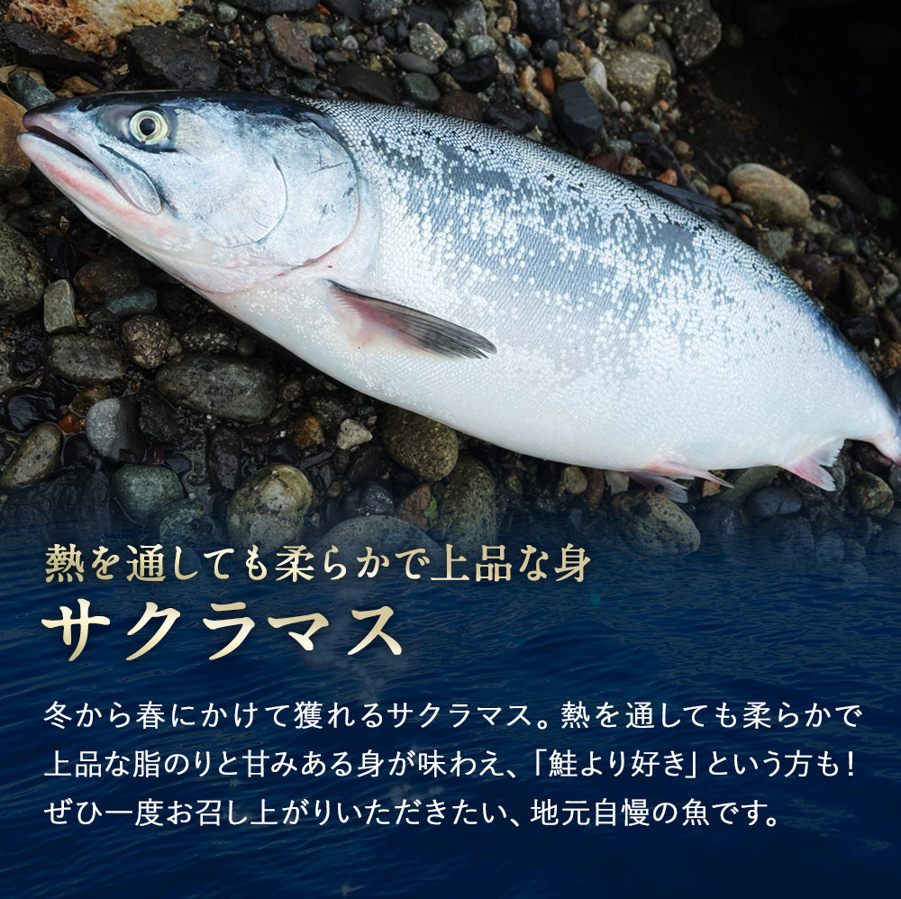 サクラマス 北海道 知床・羅臼産 半身 5枚 総重量1.5kg前後 鱒 ます マス 天然 産地直送