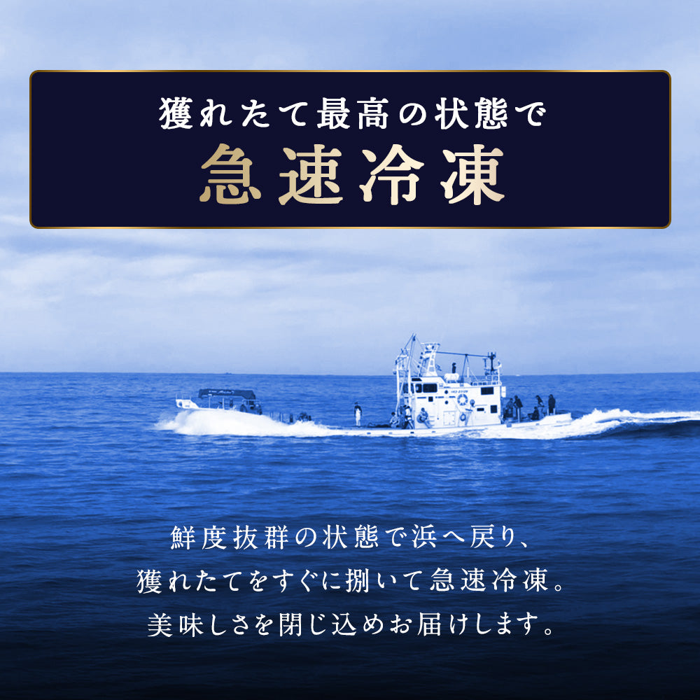サクラマス 北海道 知床・羅臼産 半身 5枚 総重量1.5kg前後 鱒 ます マス 天然 産地直送