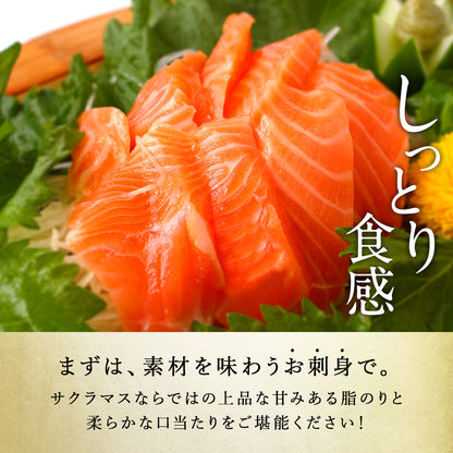 サクラマス 北海道 知床・羅臼産 半身 5枚 総重量1.5kg前後 鱒 ます マス 天然 産地直送