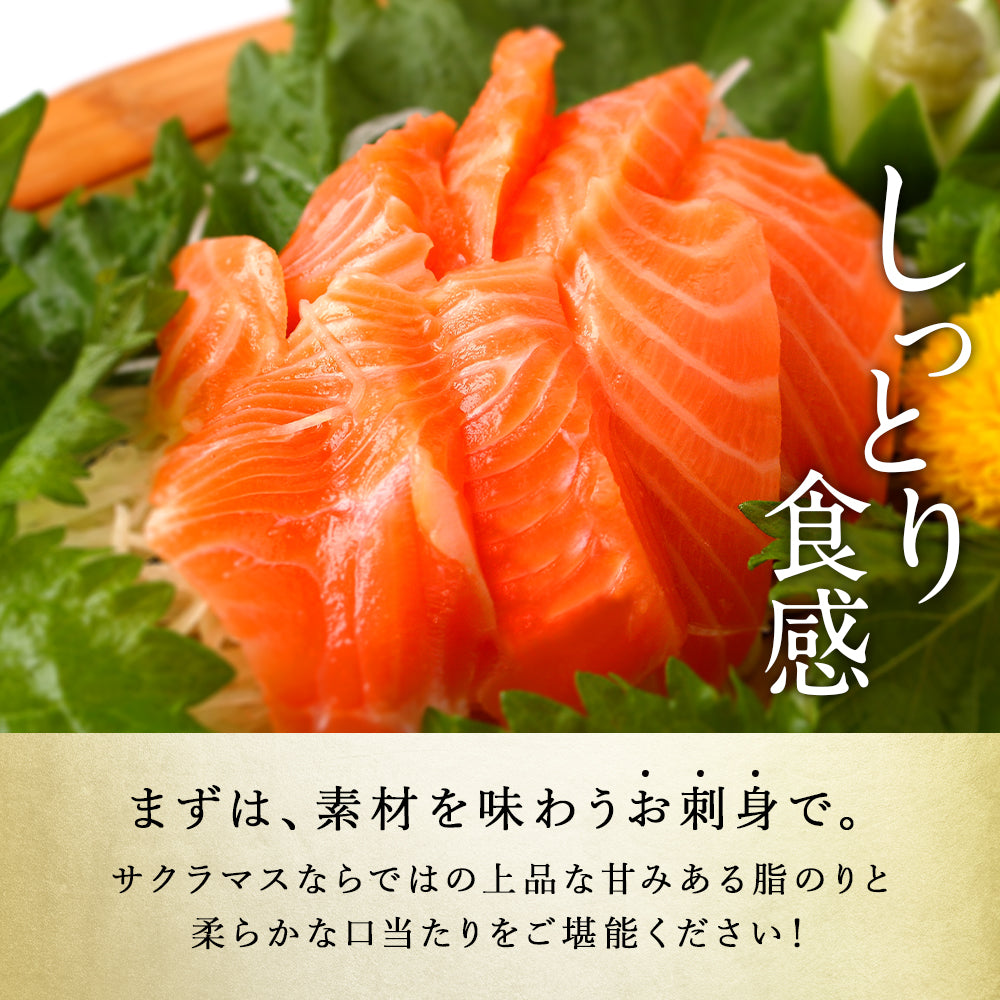 サクラマス 北海道 知床・羅臼産 半身 300g前後 鱒 ます マス 天然 産地直送