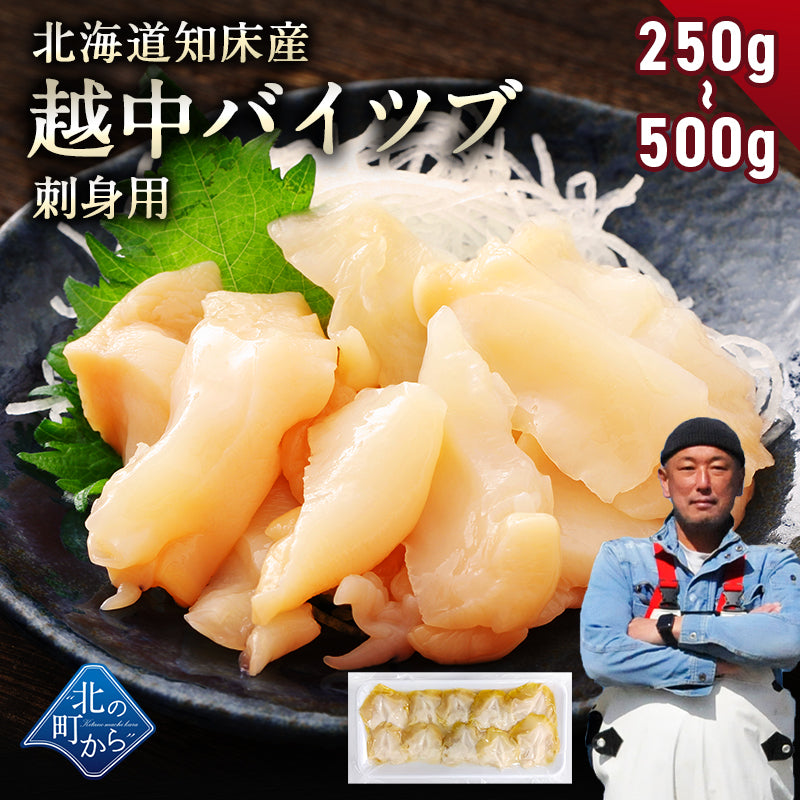 ＼2個まとめ買いで送料無料4,980円／ 北海道 知床産 越中バイツブ 開き 刺身用 250g~500g ツブ つぶ ツブ貝 つぶ貝 粒貝 バイツブ 生食用 生つぶ 刺身 魚介 海鮮 お取り寄せ 国産 産地直送