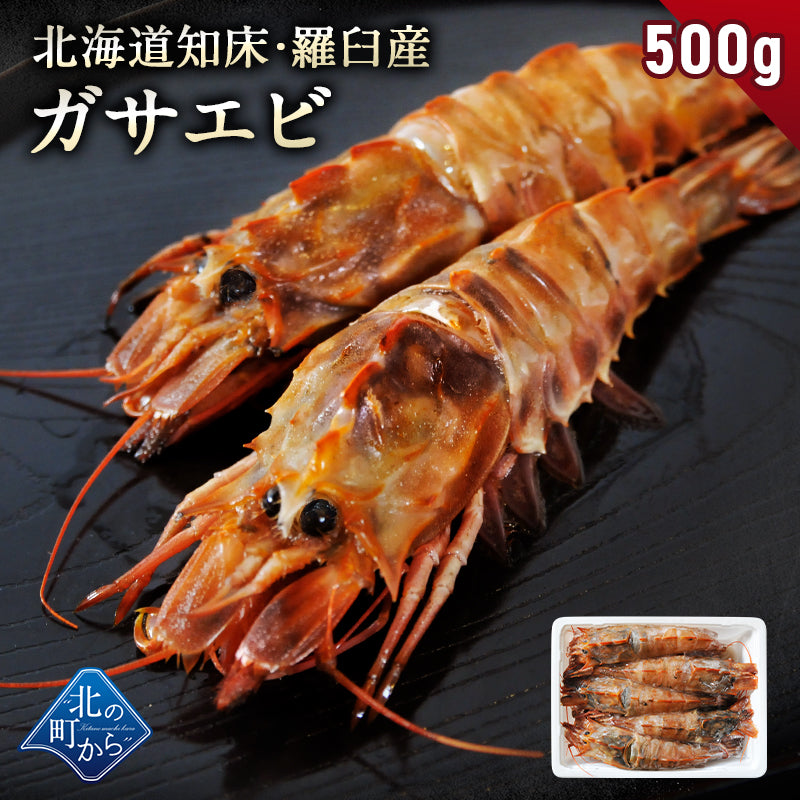 北海道 知床・羅臼産 ガサエビ 500g 栄養豊富な海で育ったエビは、旨みは濃く身は大きく！ ダイオウキジンエビ 魚貝 えび エビ 海老 冷凍 希少品 国産 産地直送 お取り寄せ グルメ 焼きエビ 海鮮鍋 味噌汁