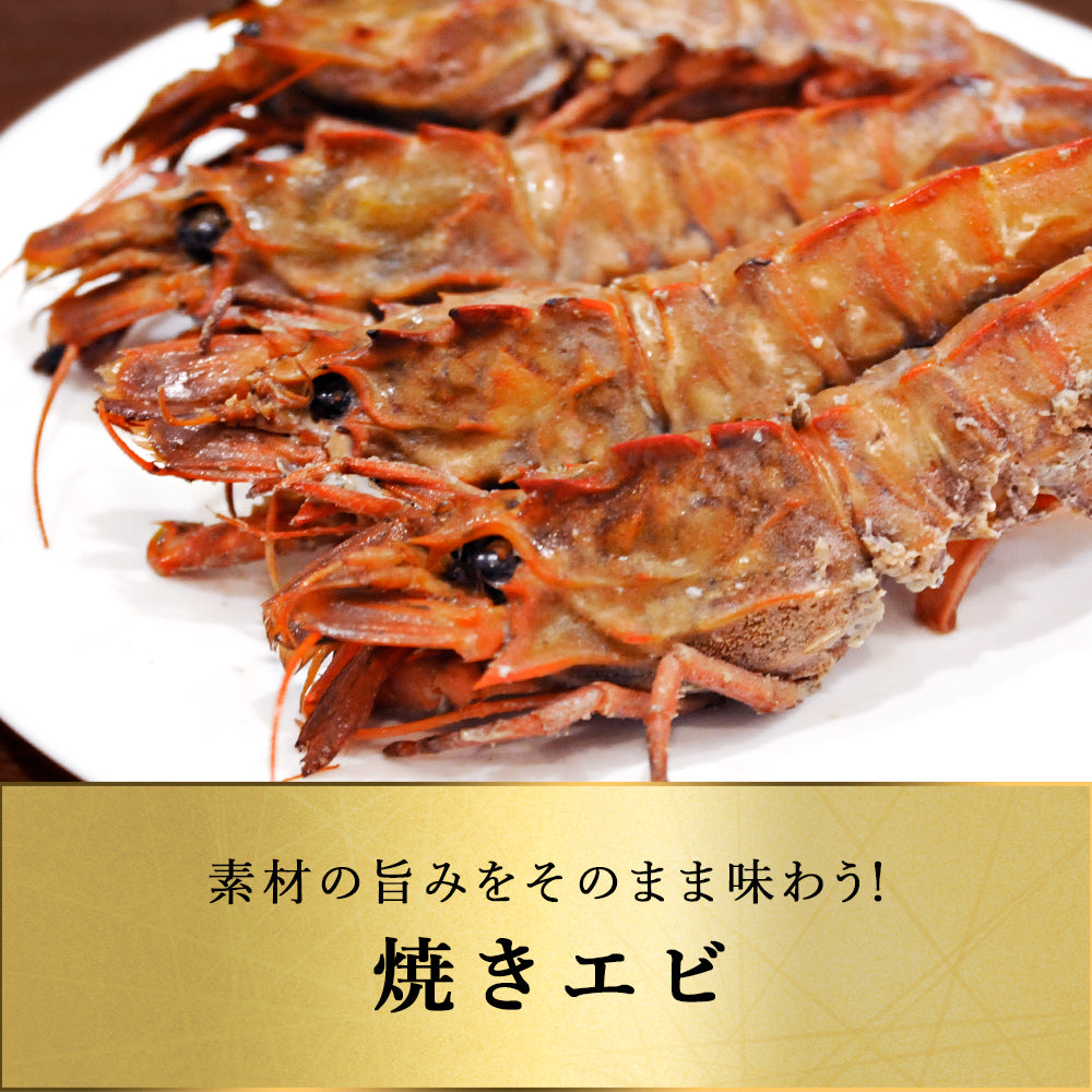 北海道 知床・羅臼産 ガサエビ 500g 栄養豊富な海で育ったエビは、旨みは濃く身は大きく！ ダイオウキジンエビ 魚貝 えび エビ 海老 冷凍 希少品 国産 産地直送 お取り寄せ グルメ 焼きエビ 海鮮鍋 味噌汁