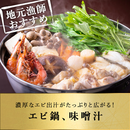 北海道 知床・羅臼産 ガサエビ 500g 栄養豊富な海で育ったエビは、旨みは濃く身は大きく！ ダイオウキジンエビ 魚貝 えび エビ 海老 冷凍 希少品 国産 産地直送 お取り寄せ グルメ 焼きエビ 海鮮鍋 味噌汁