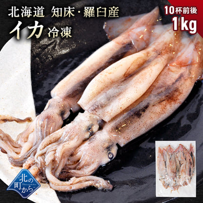 北海道 知床・羅臼産 スルメイカ 1kg(10杯前後) するめいか まめいか 豆いか いか イカ 烏賊 生冷 冷凍 お取り寄せ 国産 送料無料