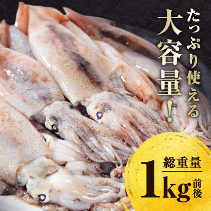 北海道 知床・羅臼産 スルメイカ 1kg(10杯前後) するめいか まめいか 豆いか いか イカ 烏賊 生冷 冷凍 お取り寄せ 国産 送料無料