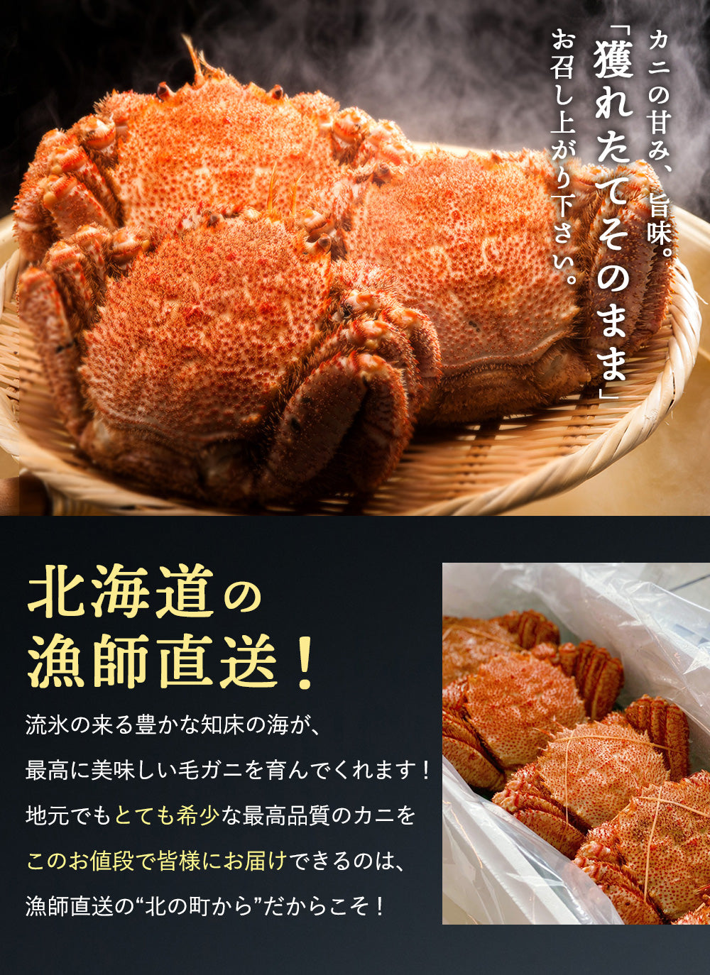 毛ガニ 希少な知床産 700g～750g 【浜茹で急速冷凍 姿】 採れたての毛蟹を新鮮なうちに浜茹でに！ 毛蟹 毛カニ 毛かに 毛がに カニ 蟹 北海道