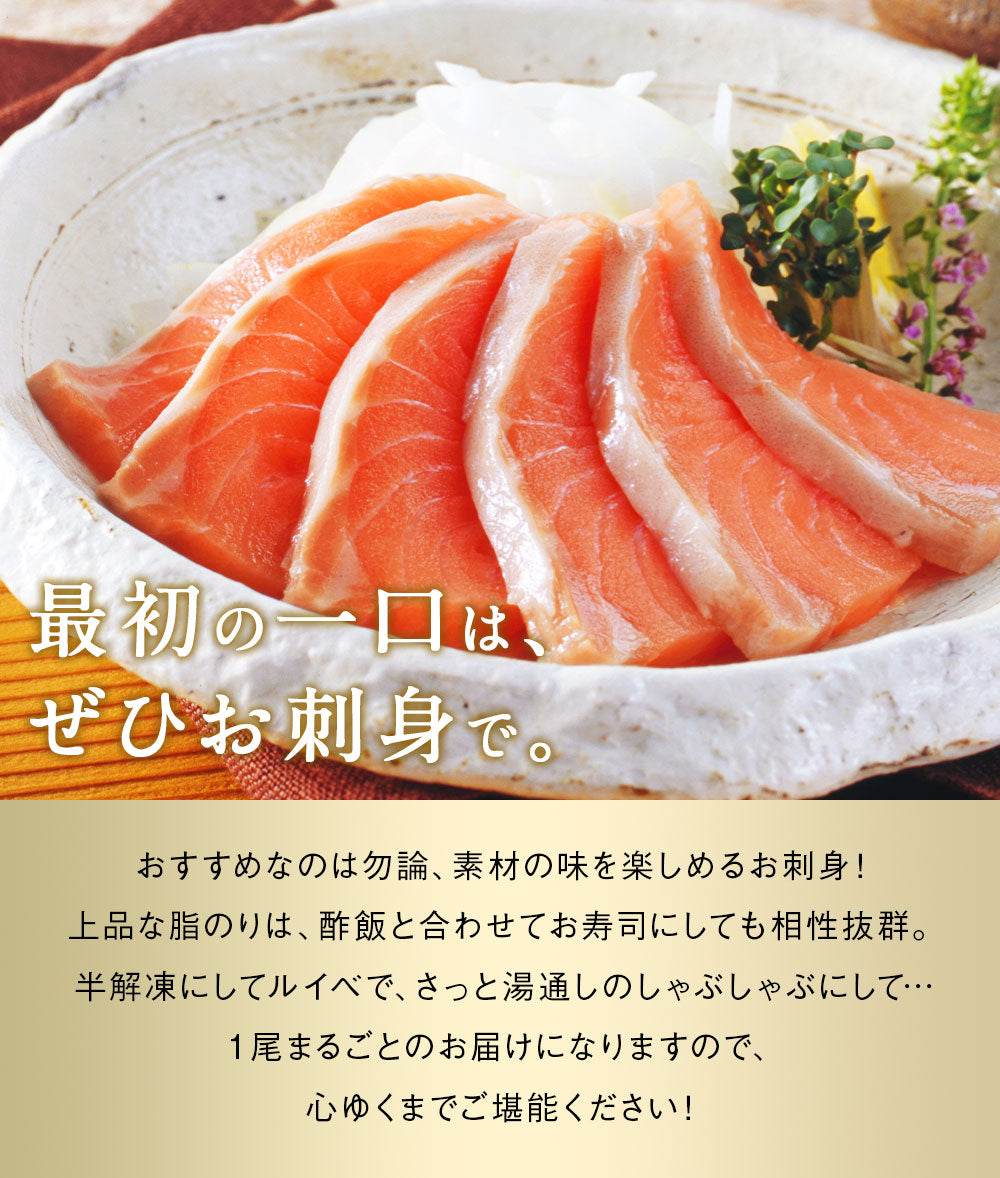 幻の鮭 鮭児 姿 北海道 知床ウトロ産 けいじ ケイジ 高級魚