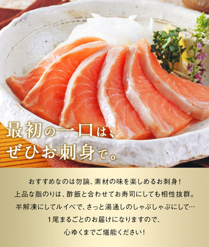 幻の鮭 鮭児 姿 北海道 知床ウトロ産 けいじ ケイジ 高級魚