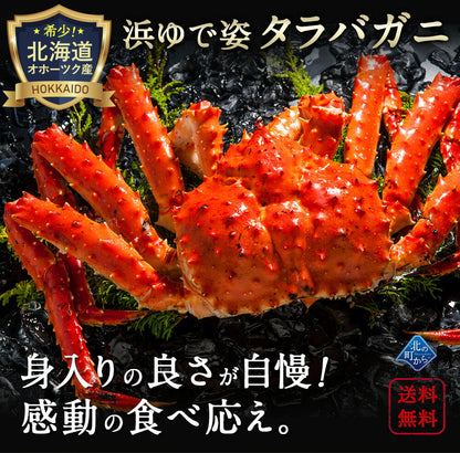 タラバガニ 北海道・オホーツク海産 【浜茹で急速冷凍 姿】 2.5kg前後 栄養価の高い身の引き締まったタラバガニ たらばがに 蟹 カニ かに