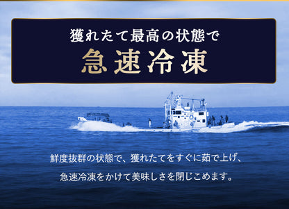 タラバガニ ボイル 剥き身 北海道オホーツク海産 250g 栄養価の高い身の引き締まったタラバガニ むき身 たらばがに 蟹 カニ かに