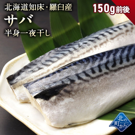 サバ半身一夜干し 北海道 知床・羅臼産 150g前後 鯖 さば