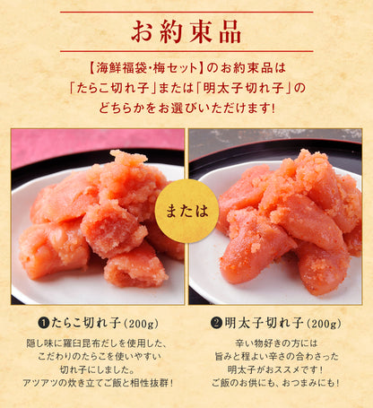 北海道海鮮福袋 梅セット 全5品3,980円！【たらこ(切れ子)200ｇまたは明太子(切れ子)200g＋他4品】