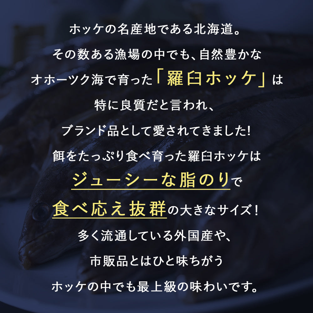 北海道 知床・羅臼産 ホッケ一夜干し 5枚入 1枚あたり400g〜450g ほっけ ホッケ 真ほっけ 羅臼ホッケ 干物 乾物 開き 手造り お取り寄せ グルメ 特大 国産 冷凍