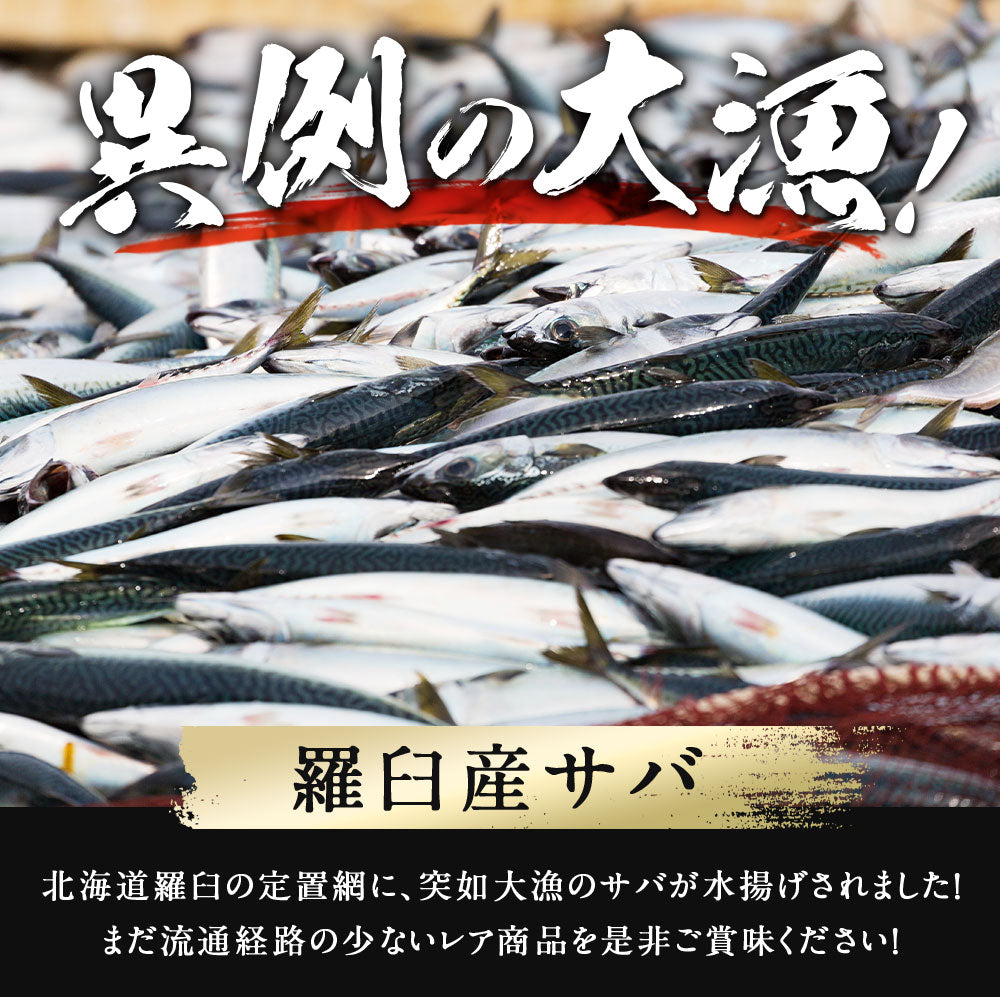 サバ半身一夜干し 12枚前後 北海道 知床・羅臼産  総重量1.3kg前後 鯖 さば 干物 国産 天然 真空パック 焼魚 おかず