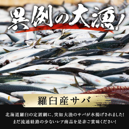 サバ半身一夜干し 12枚前後 北海道 知床・羅臼産  総重量1.3kg前後 鯖 さば 干物 国産 天然 真空パック 焼魚 おかず