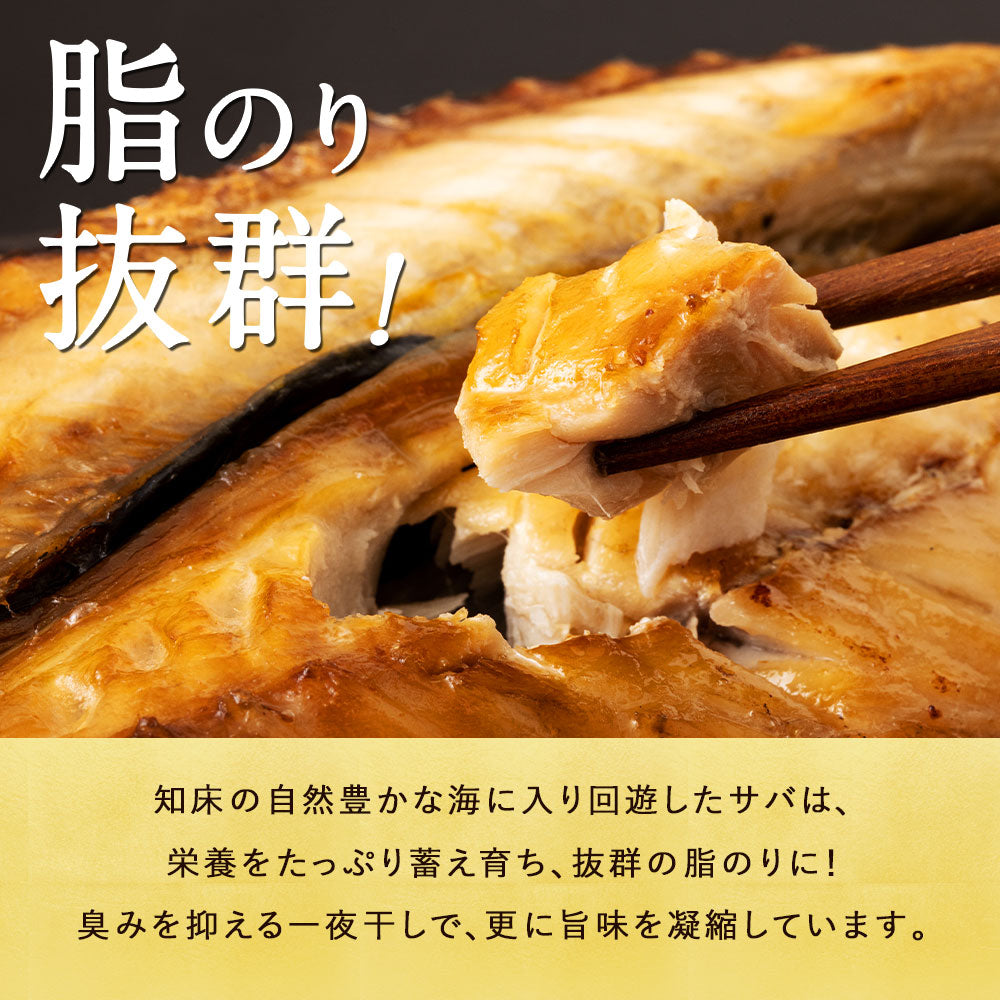 サバ半身一夜干し 12枚前後 北海道 知床・羅臼産  総重量1.3kg前後 鯖 さば 干物 国産 天然 真空パック 焼魚 おかず