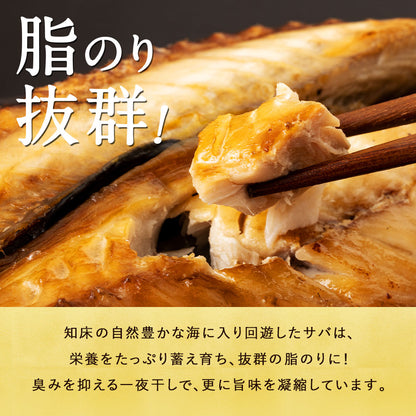 サバ半身一夜干し 12枚前後 北海道 知床・羅臼産  総重量1.3kg前後 鯖 さば 干物 国産 天然 真空パック 焼魚 おかず
